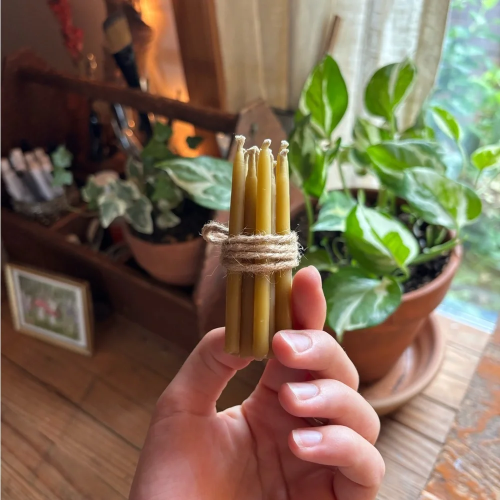 Homemade All-Natural Toxic Free 100% Beeswax Birthday Candle Set